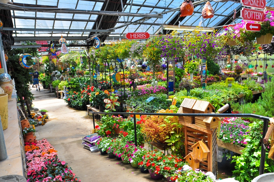 Gallery Larchmont Nurseries and Construction