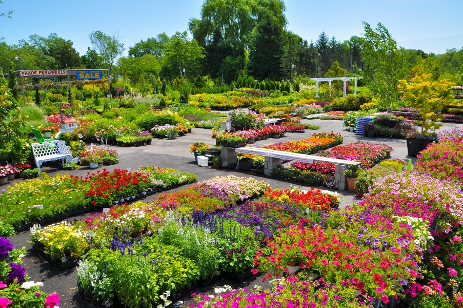 Larchmont Nurseries and Construction