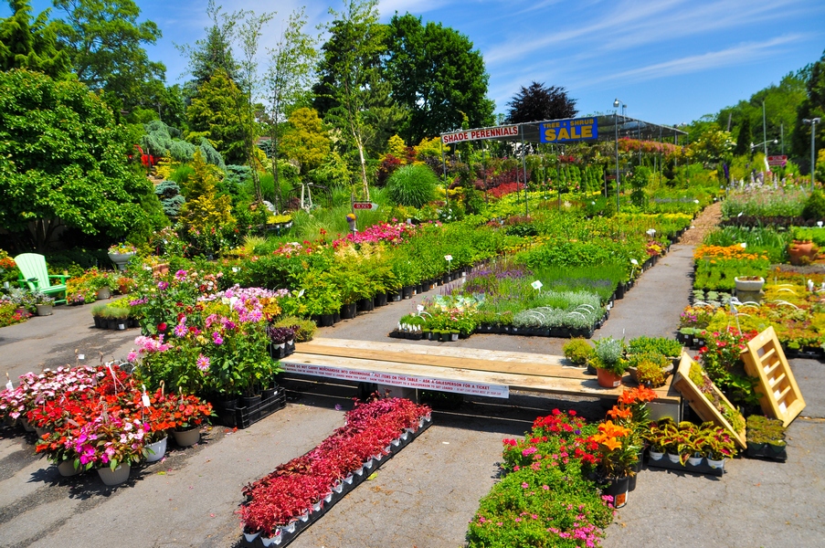 Larchmont Nurseries and Construction