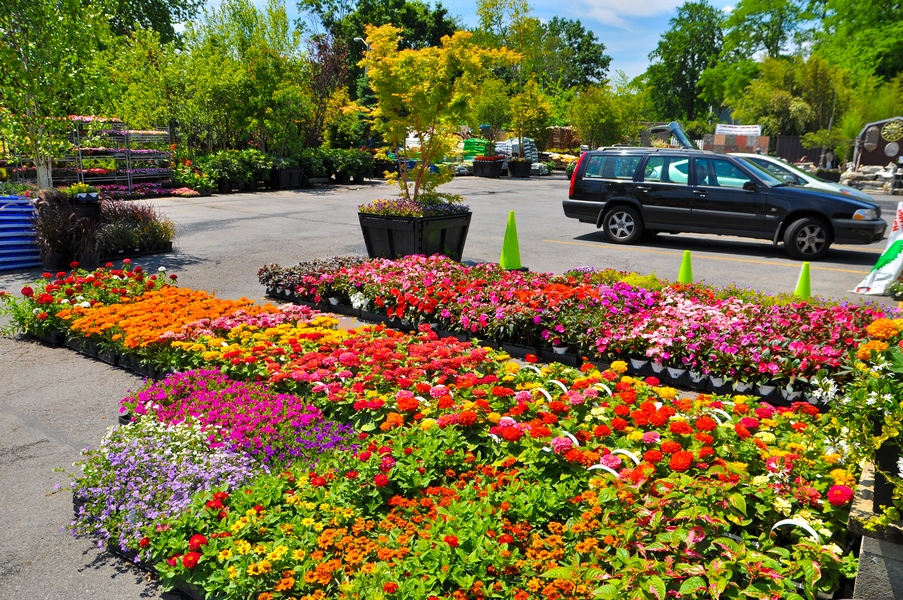 Gallery Larchmont Nurseries and Construction