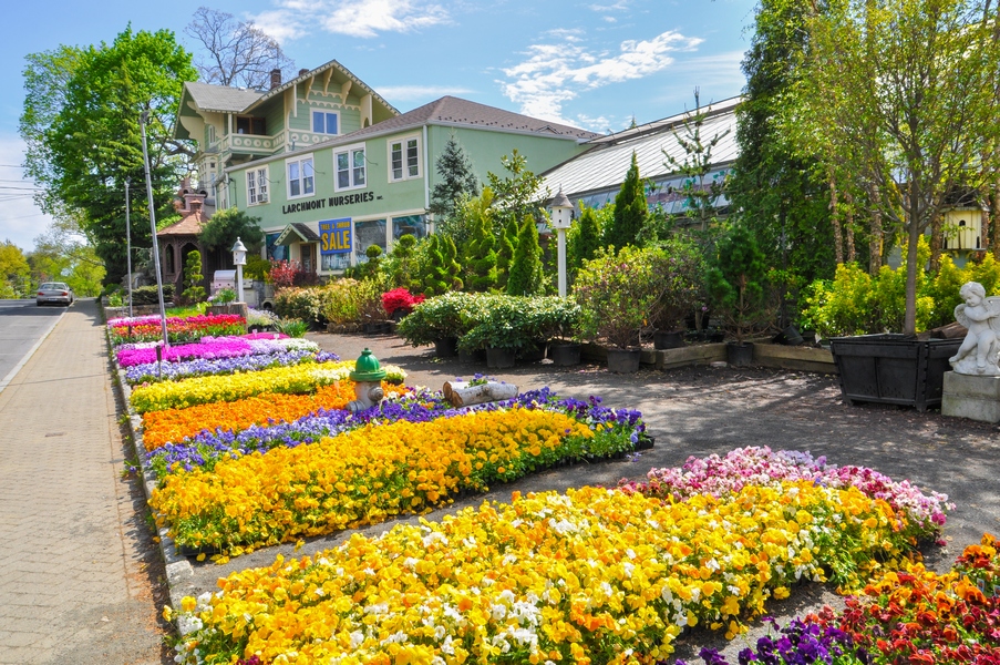 Gallery Larchmont Nurseries and Construction
