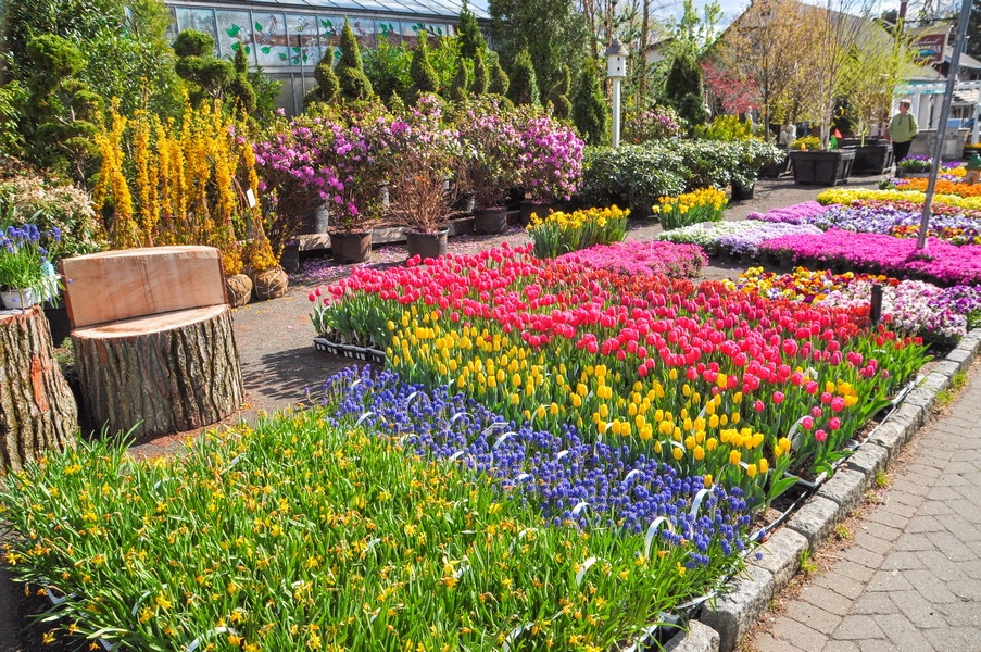 Larchmont Nurseries and Construction