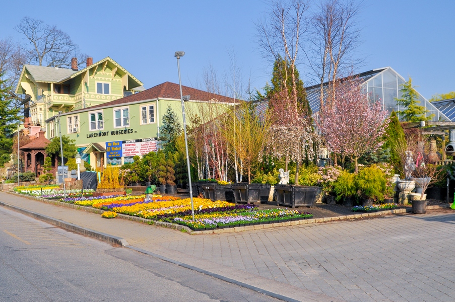 Larchmont Nurseries and Construction