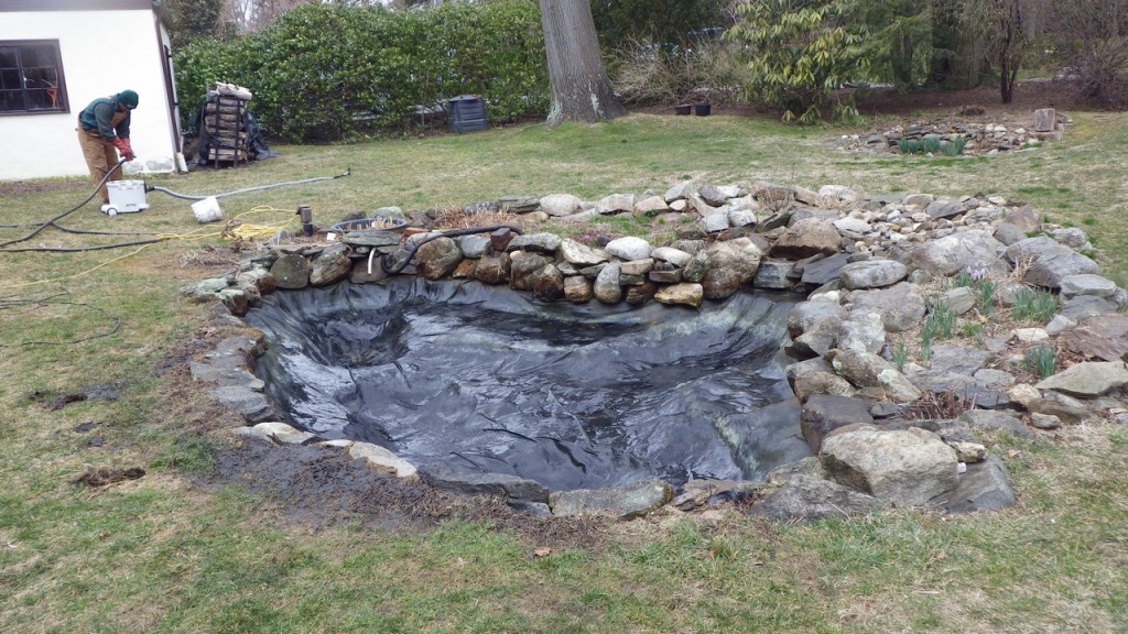 larchmontnursery2013© (1)