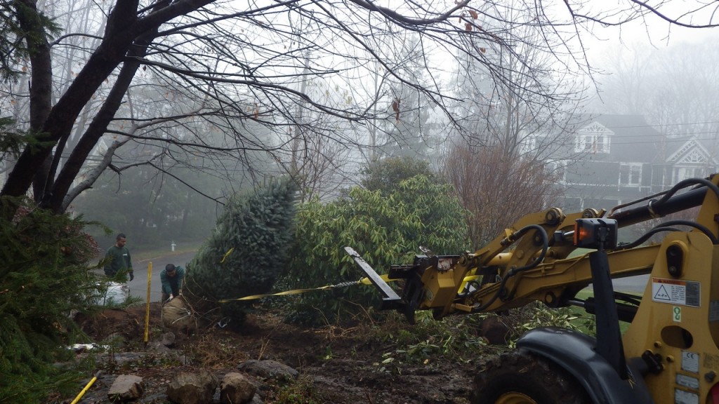 larchmontnursery2013© (11)