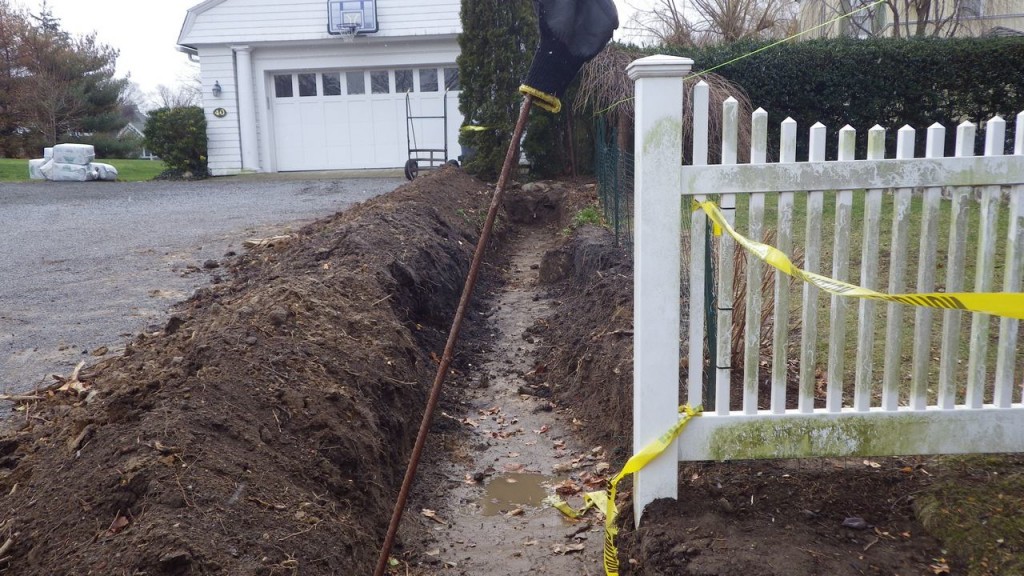 larchmontnursery2013© (20)