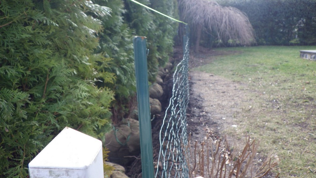 larchmontnursery2013© (21)