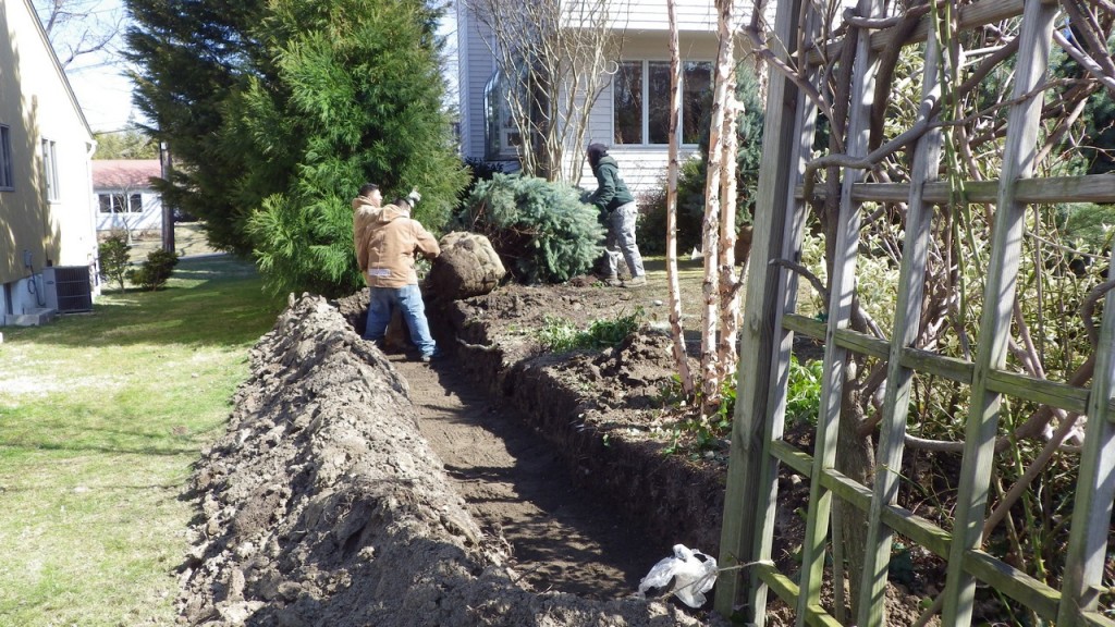 larchmontnursery2013© (25)