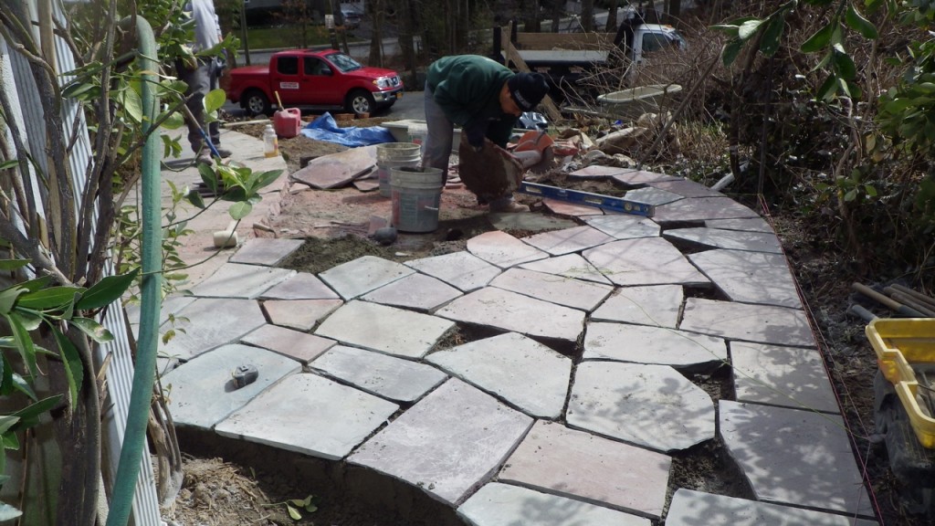 larchmontnursery2013© (29)